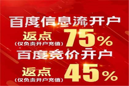 百度竞价代理操作手册：成功案例分析